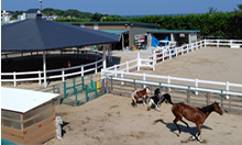 さんさん牧場 松が丘病院