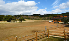 あしずりダディー牧場命の会