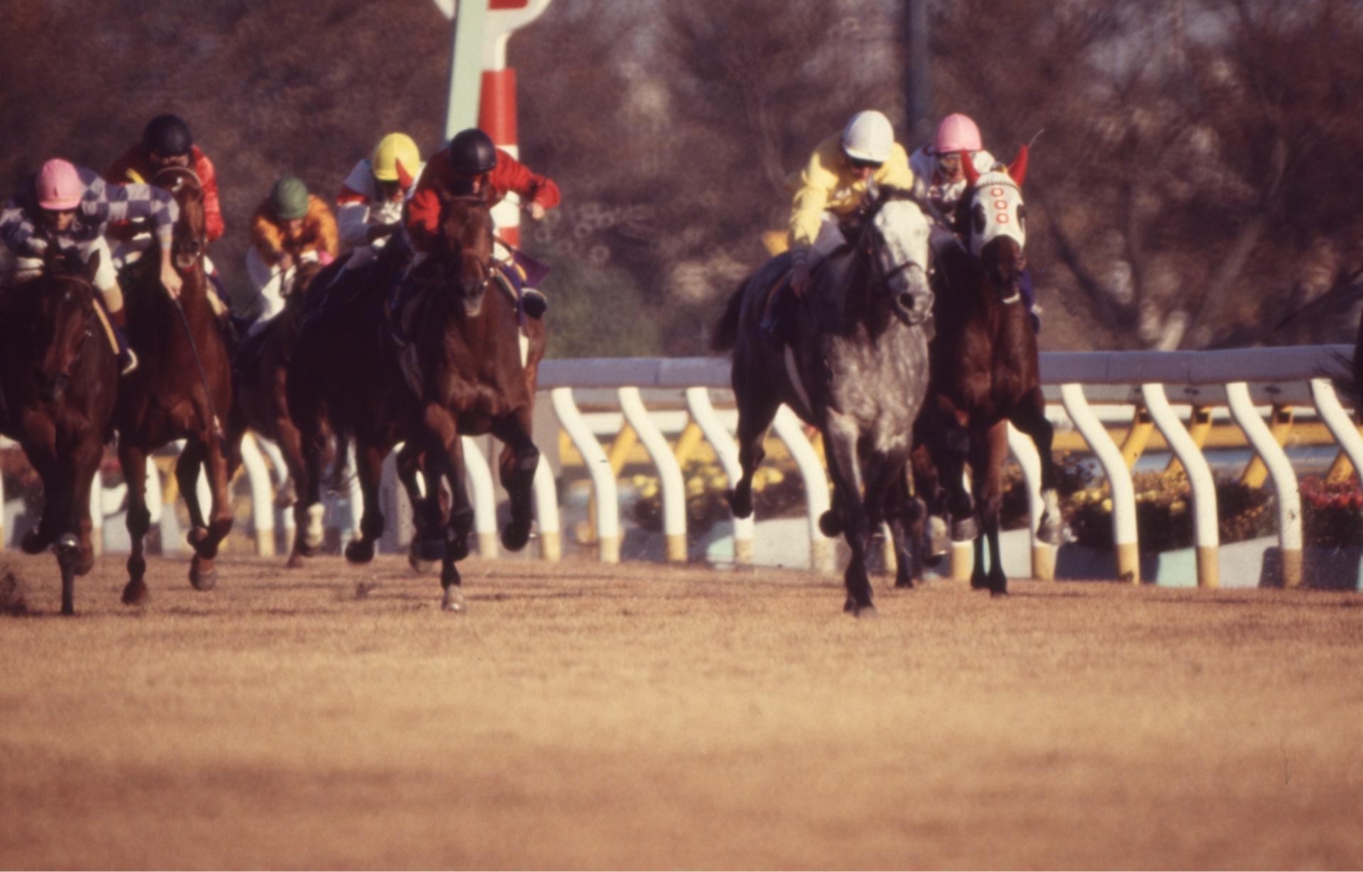 ［メアジードーツ(左のピンク帽)］