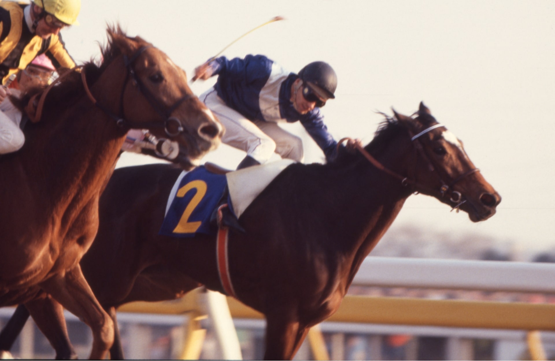 ［ハーフアイスト］