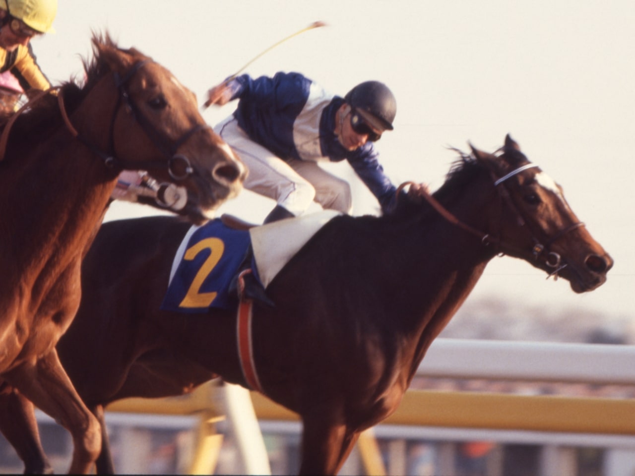 ［ハーフアイスト］