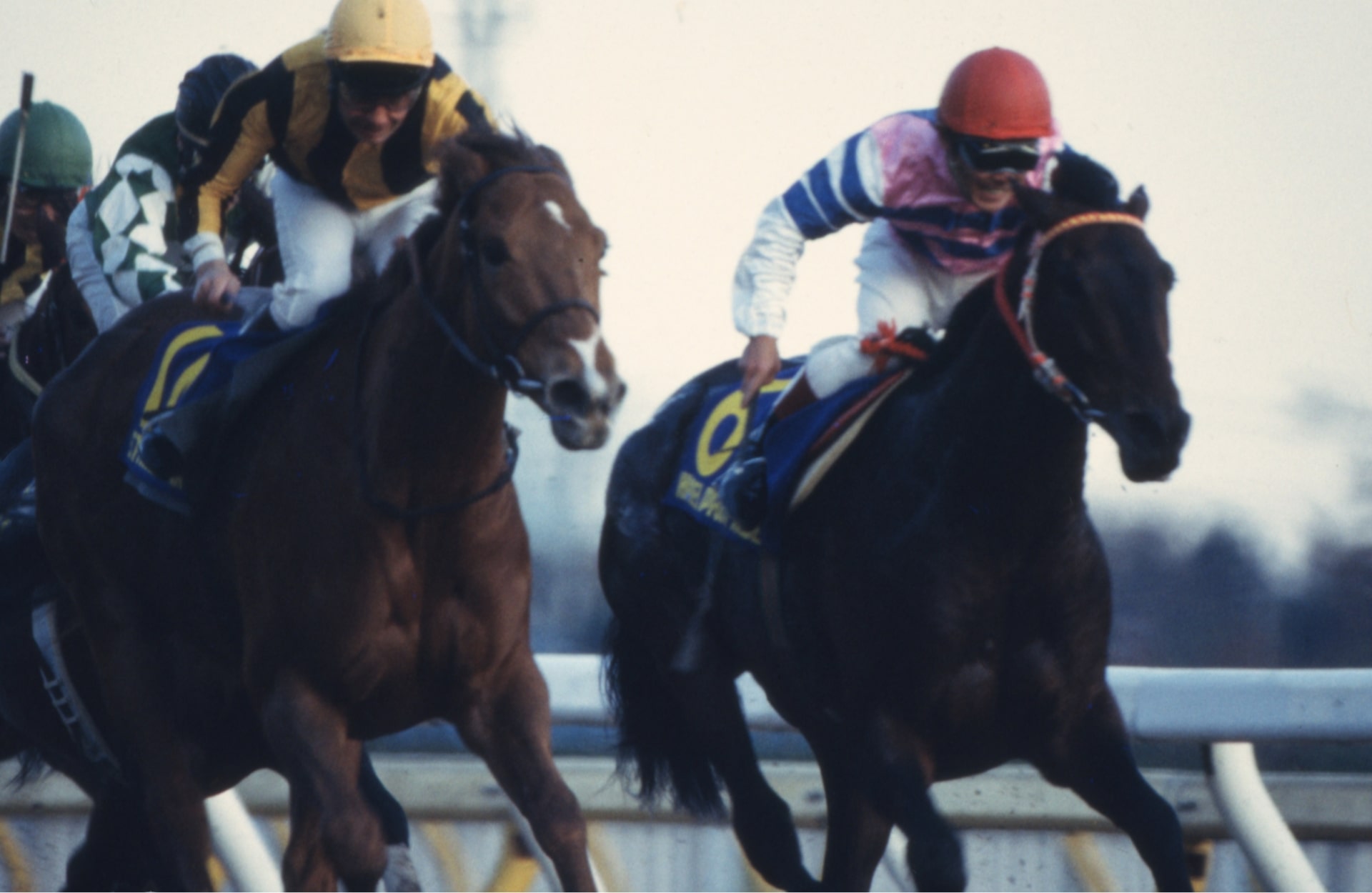 ［スタネーラ］