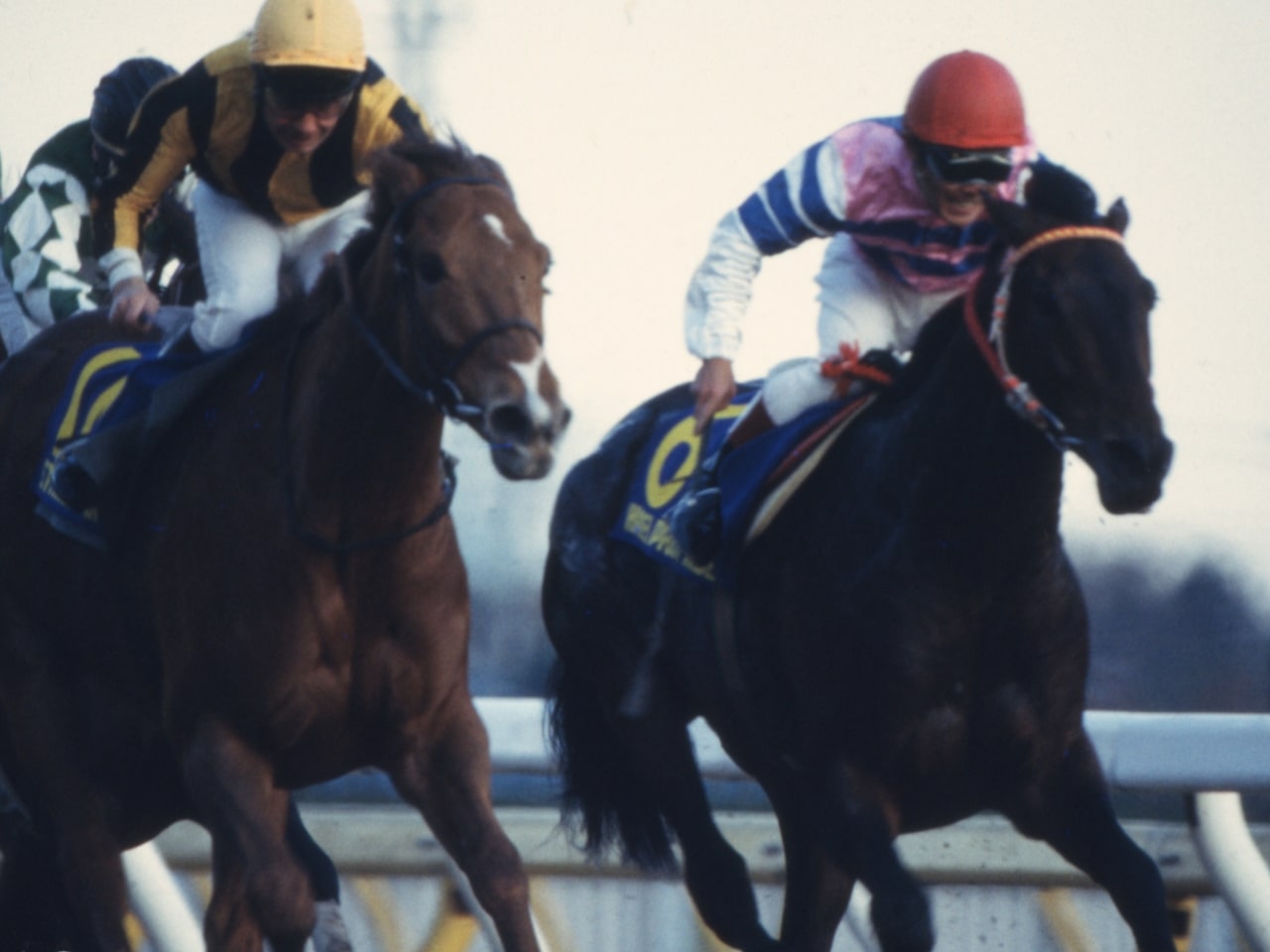 ［スタネーラ］