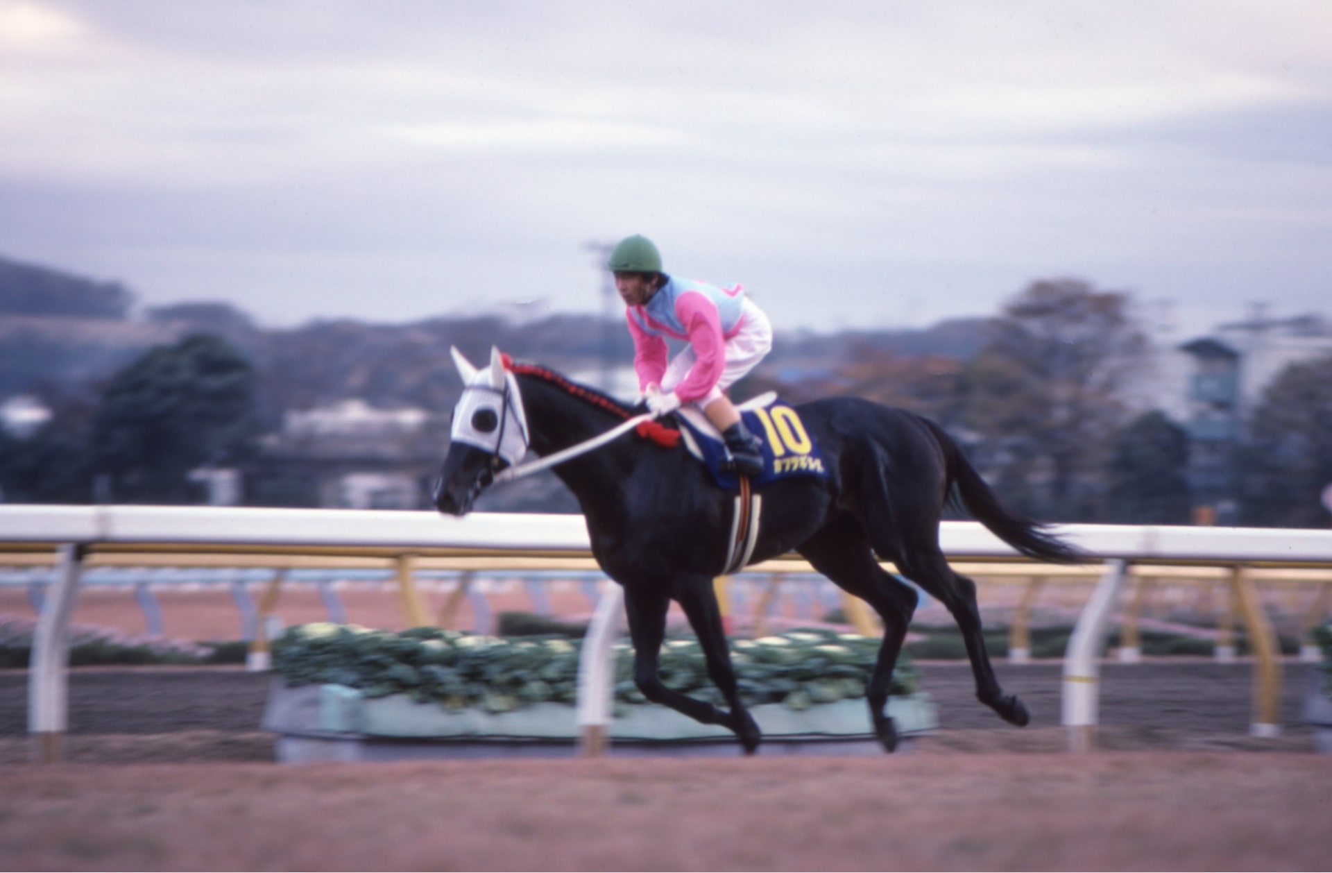 ［カツラギエース］