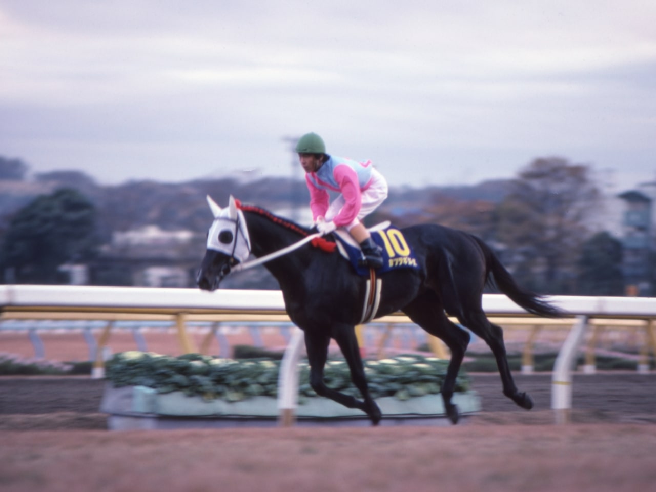 ［カツラギエース］