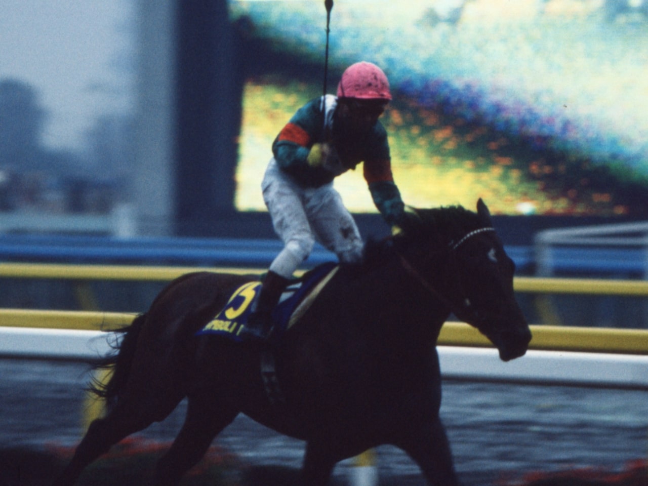 ［シンボリルドルフ］