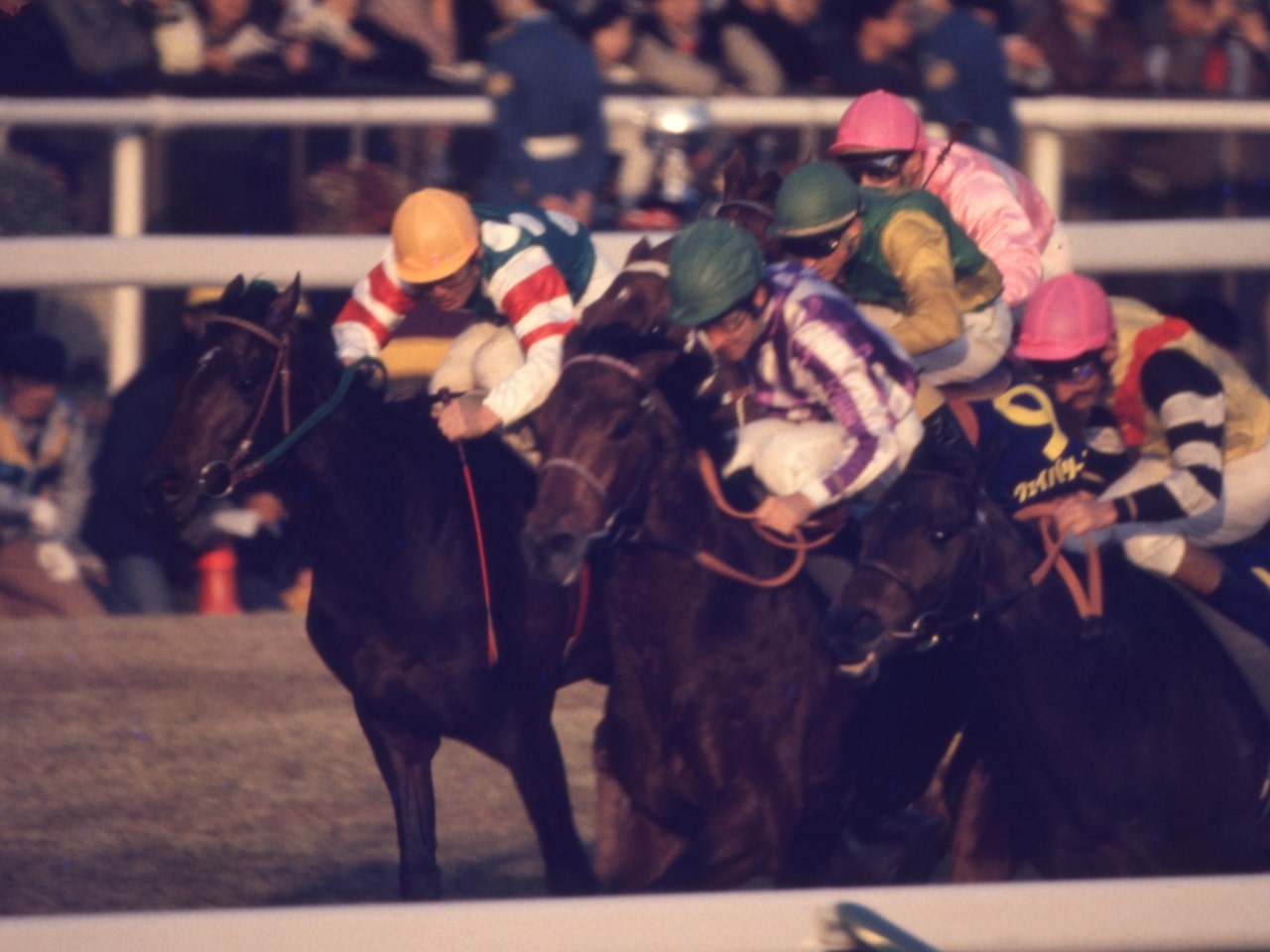 ［ジュピターアイランド］