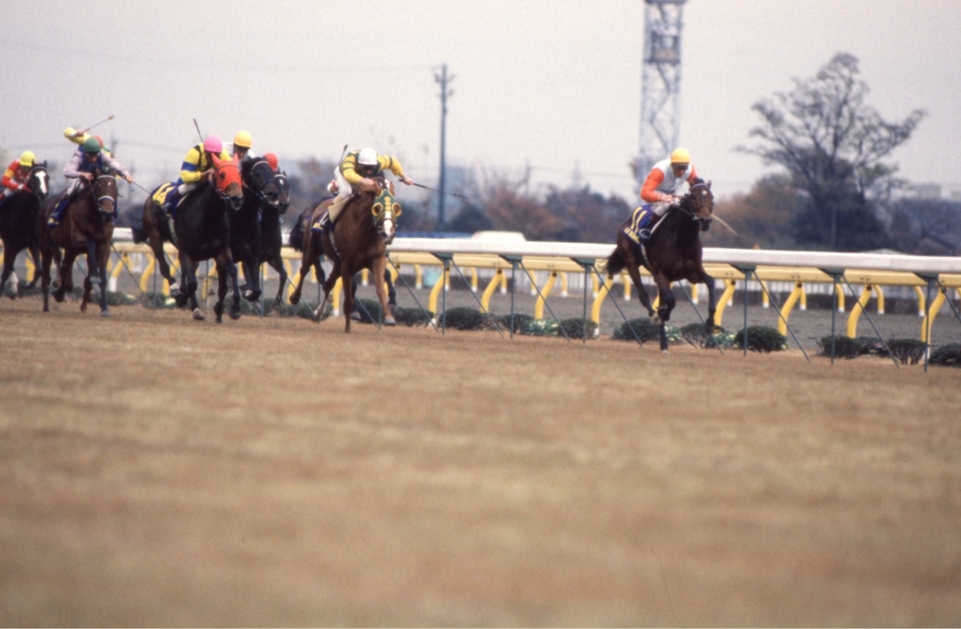 ［ルグロリュー］