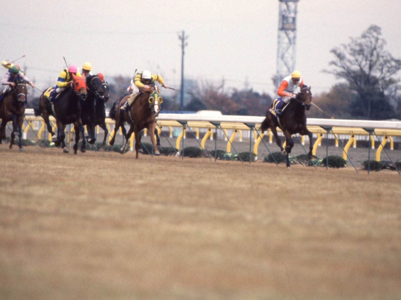 ［ルグロリュー］