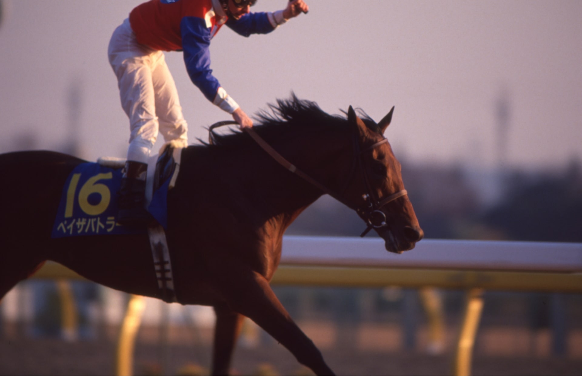 ［ペイザバトラー］