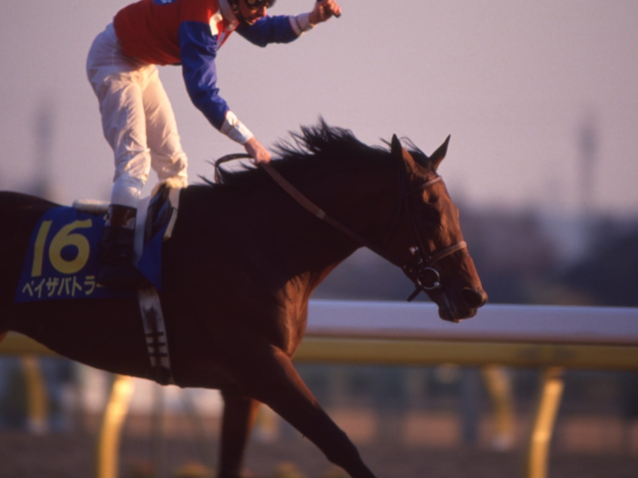 ［ペイザバトラー］