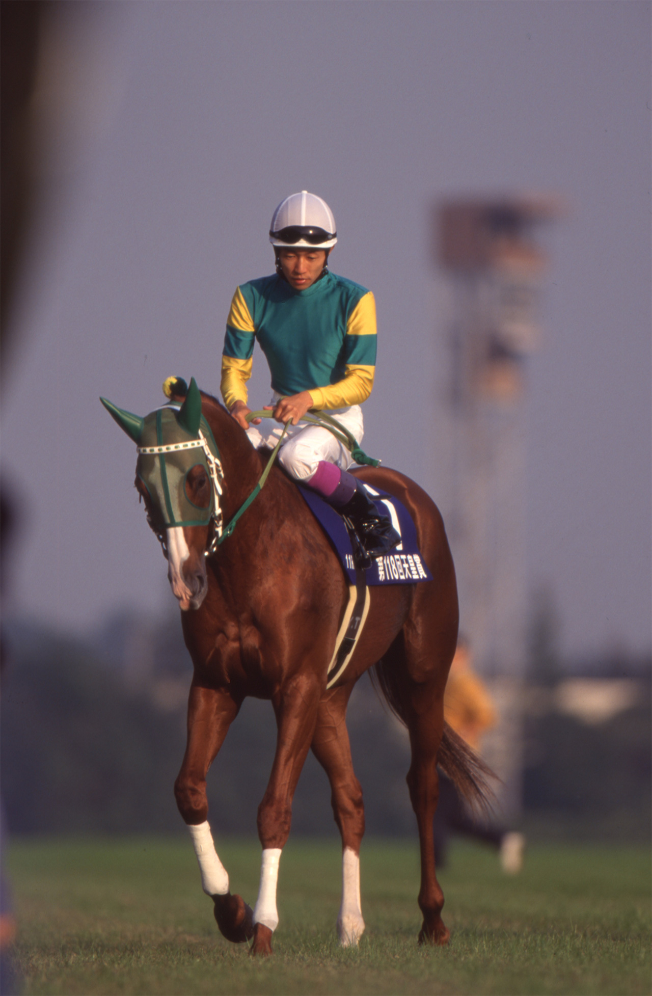 ［メアジードーツ(左のピンク帽)］