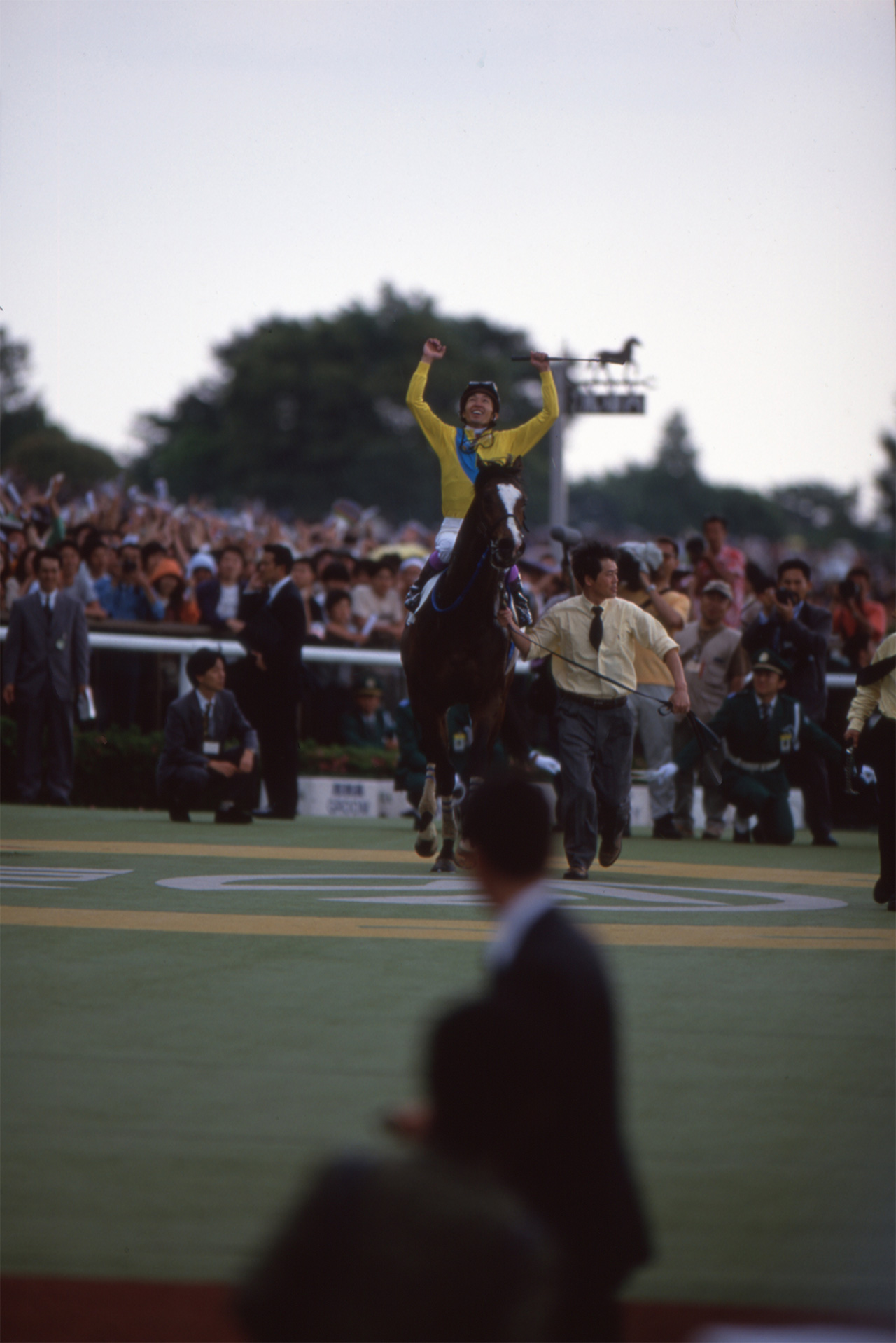 ［ハーフアイスト］