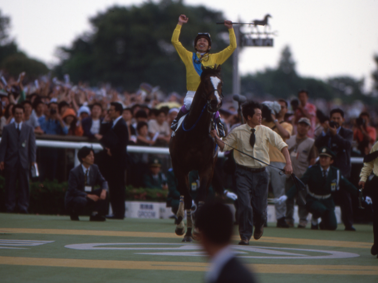 TAW GALLERY - 一般財団法人 TAW Thoroughbred Aftercare and Welfare