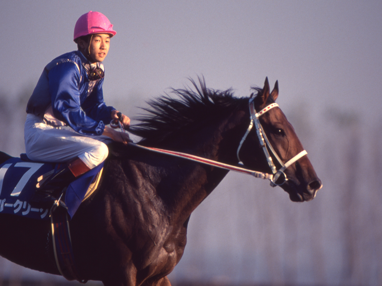 ［スーパークリーク］