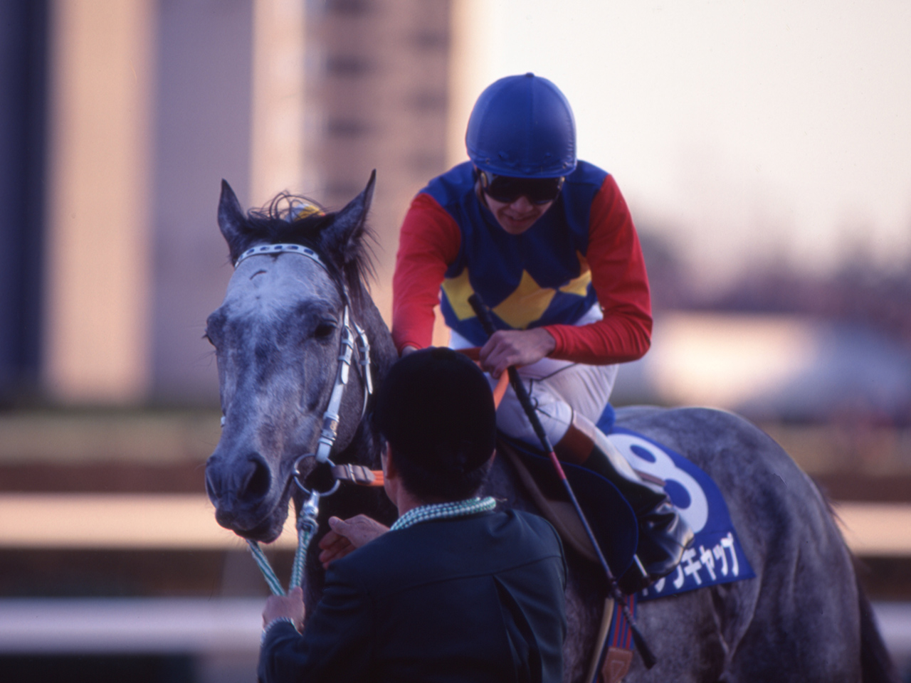 ［オグリキャップ］