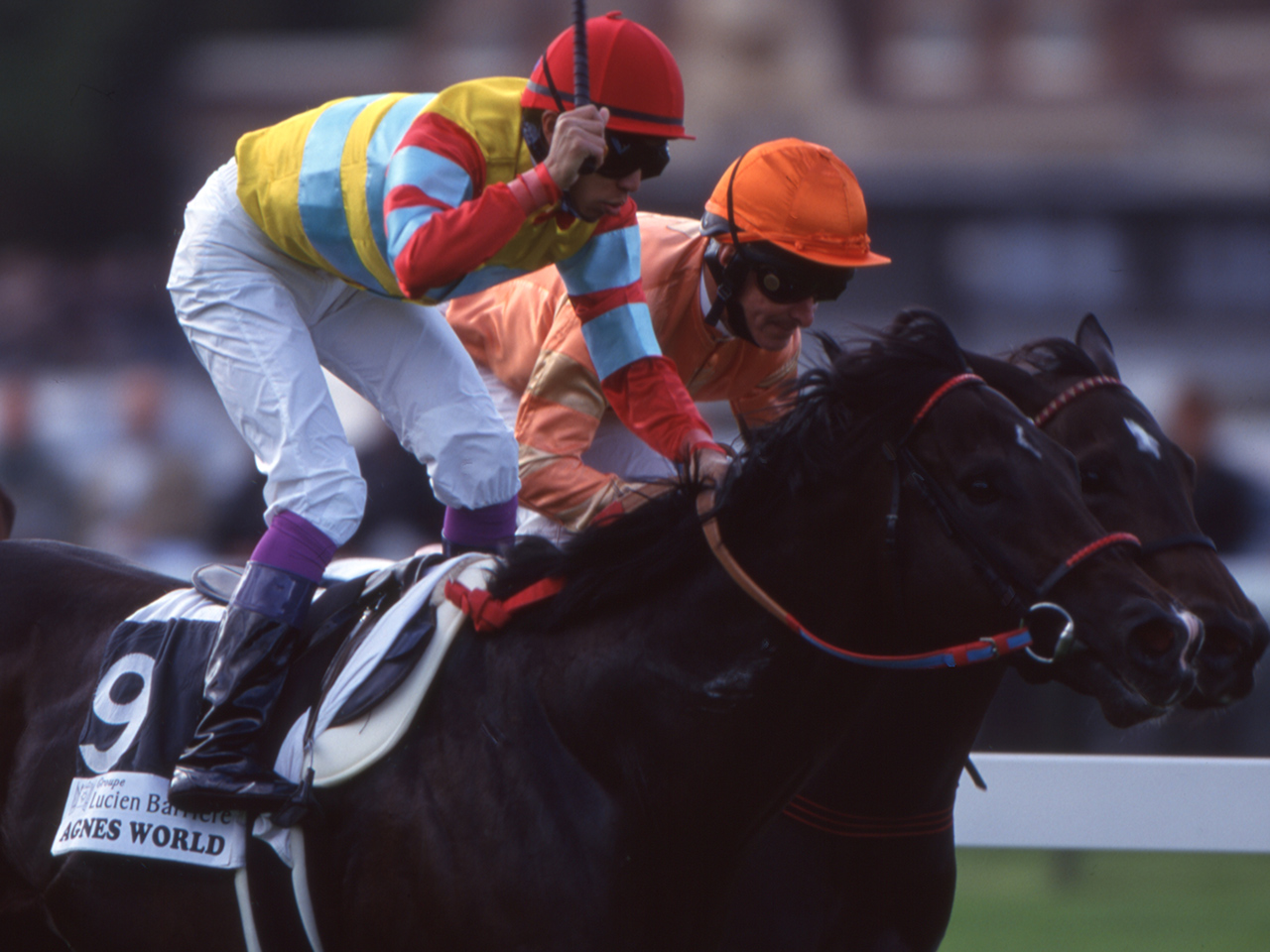 ［アグネスワールド］