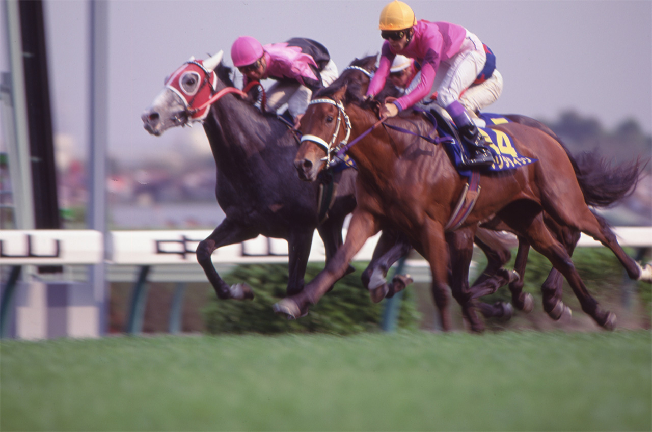 ［ペイザバトラー］