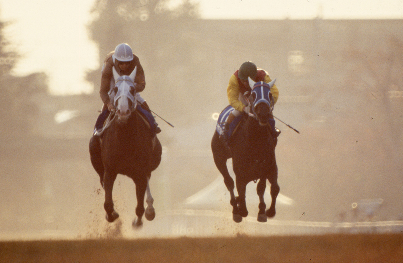 ［ベタールースンアップ］