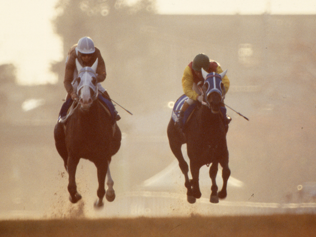 ［シヨノロマン］