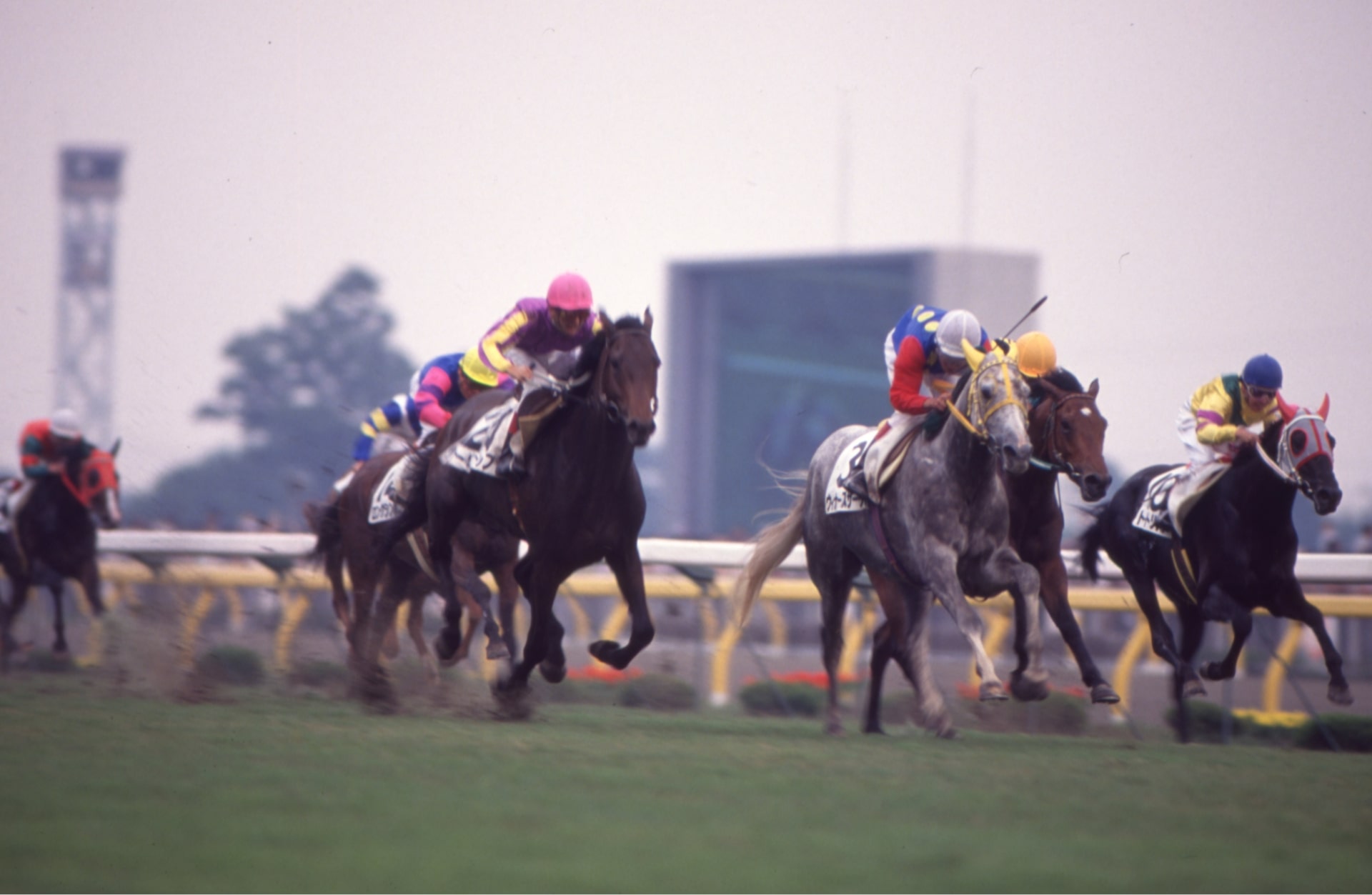 ［メアジードーツ(左のピンク帽)］