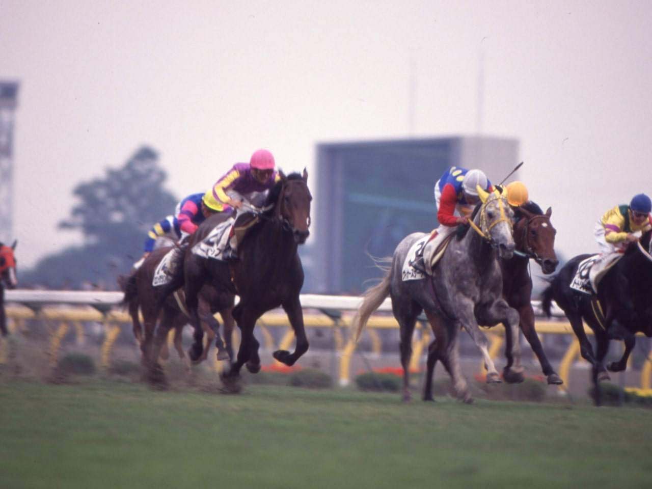 ［ウィナーズサークル］