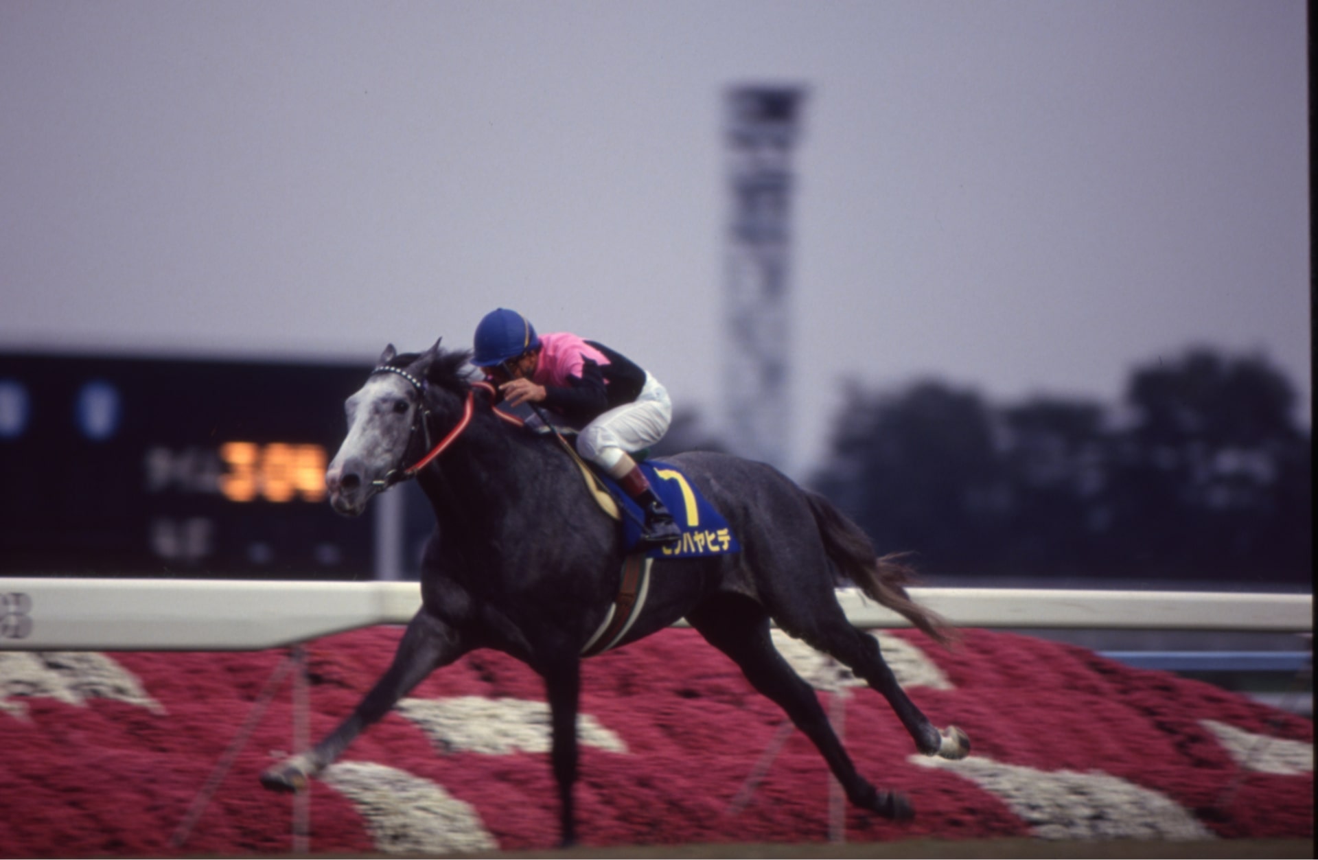 ［スタネーラ］