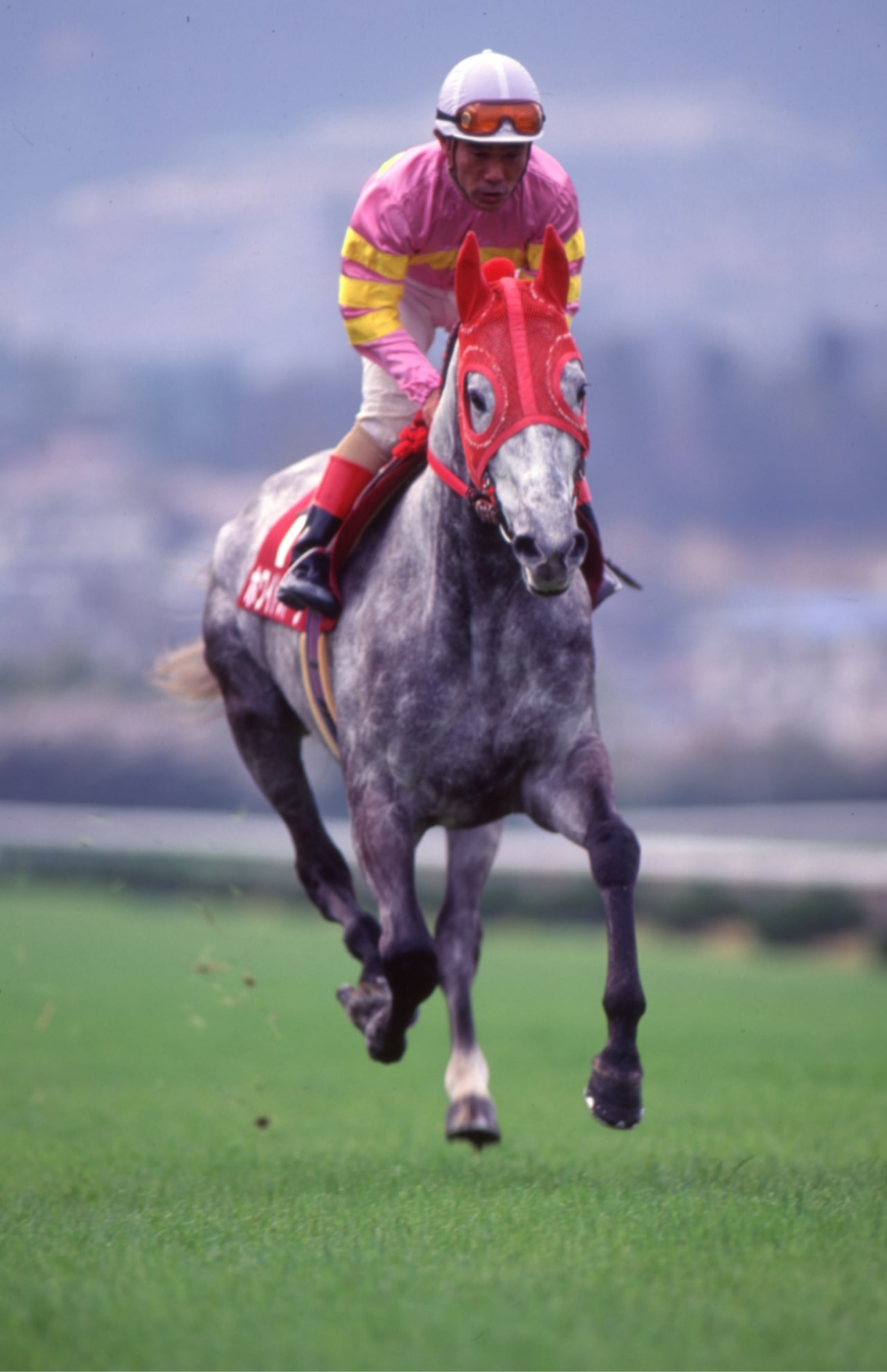 ［カツラギエース］