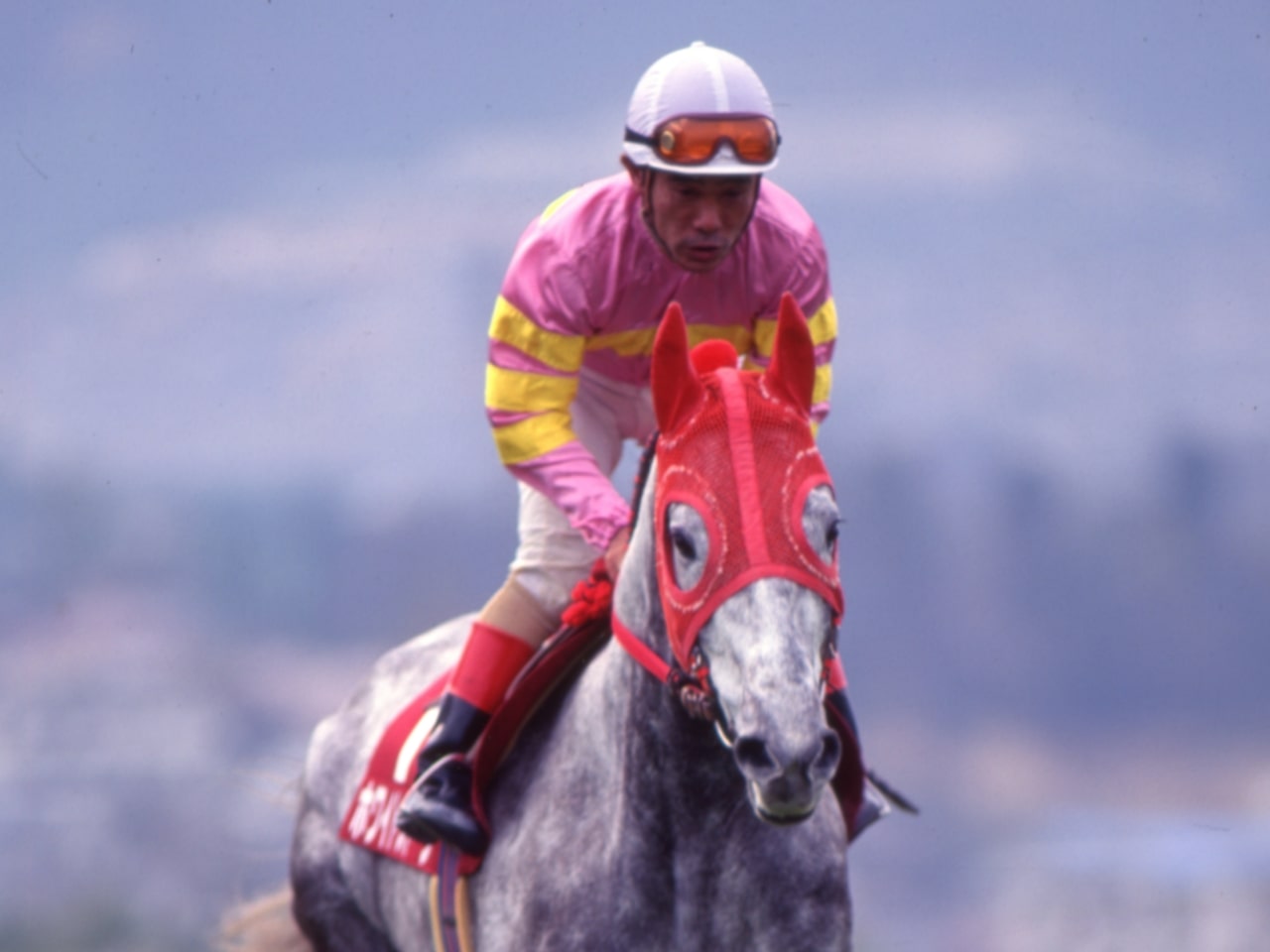 ［ホワイトストーン］