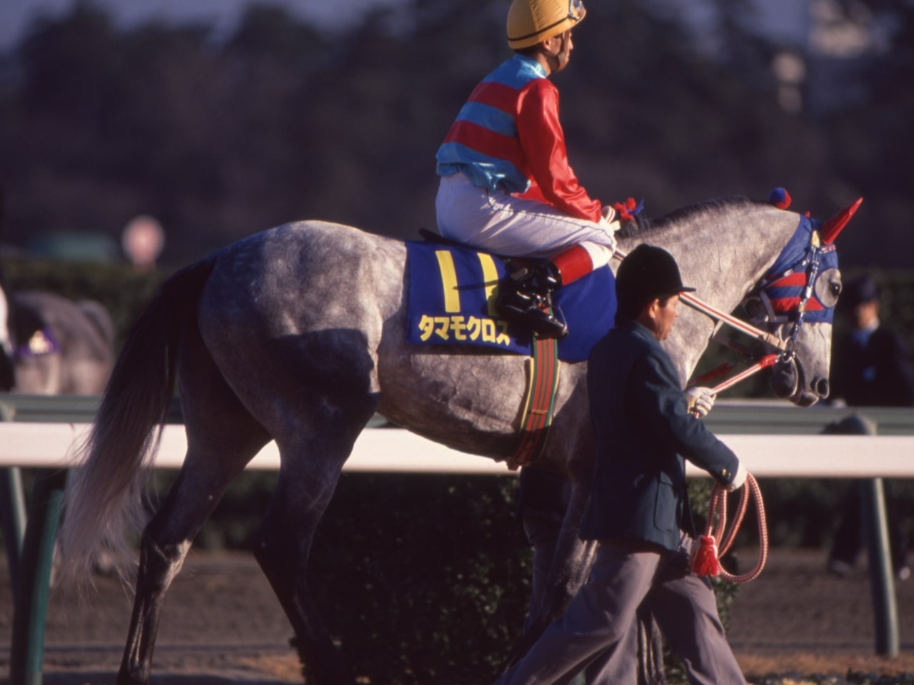 ［タマモクロス］