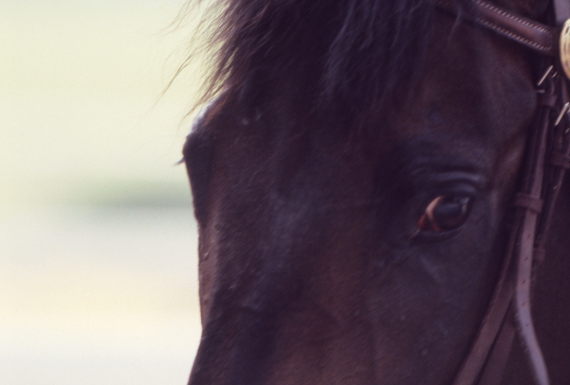 ［カツアール］