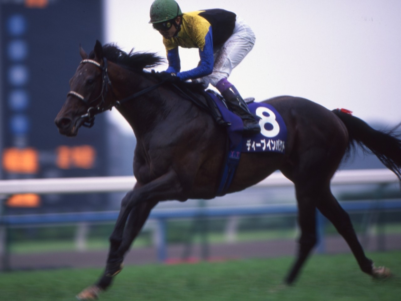TAW GALLERY - 一般財団法人 TAW Thoroughbred Aftercare and Welfare