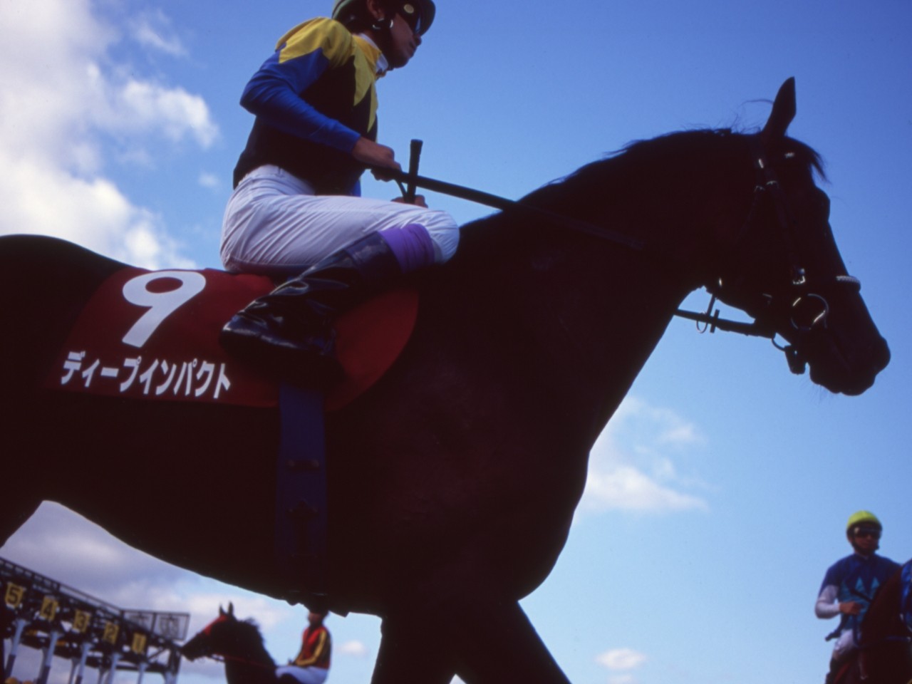 TAW GALLERY - 一般財団法人 TAW Thoroughbred Aftercare and Welfare