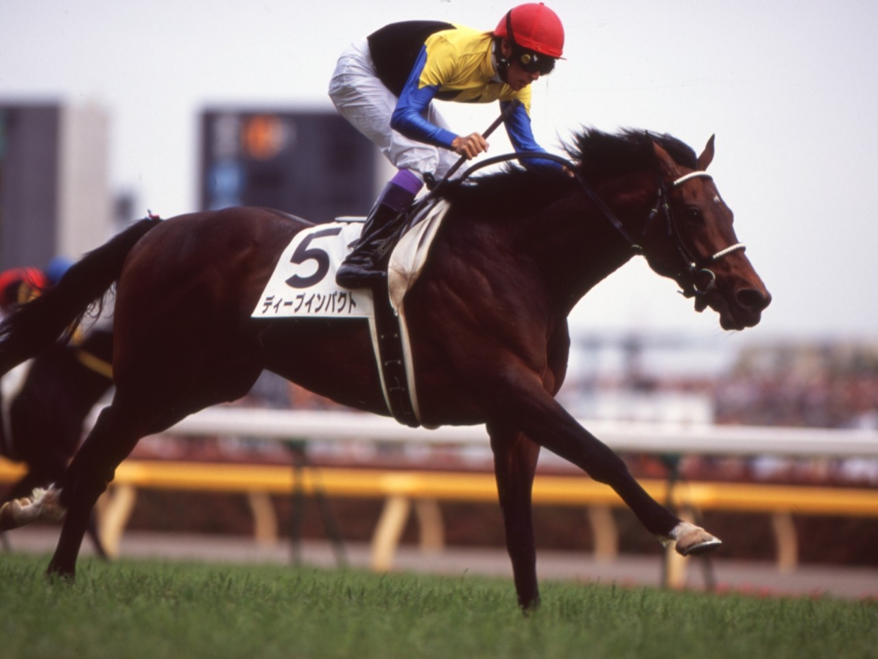 TAW GALLERY - 一般財団法人 TAW Thoroughbred Aftercare and Welfare