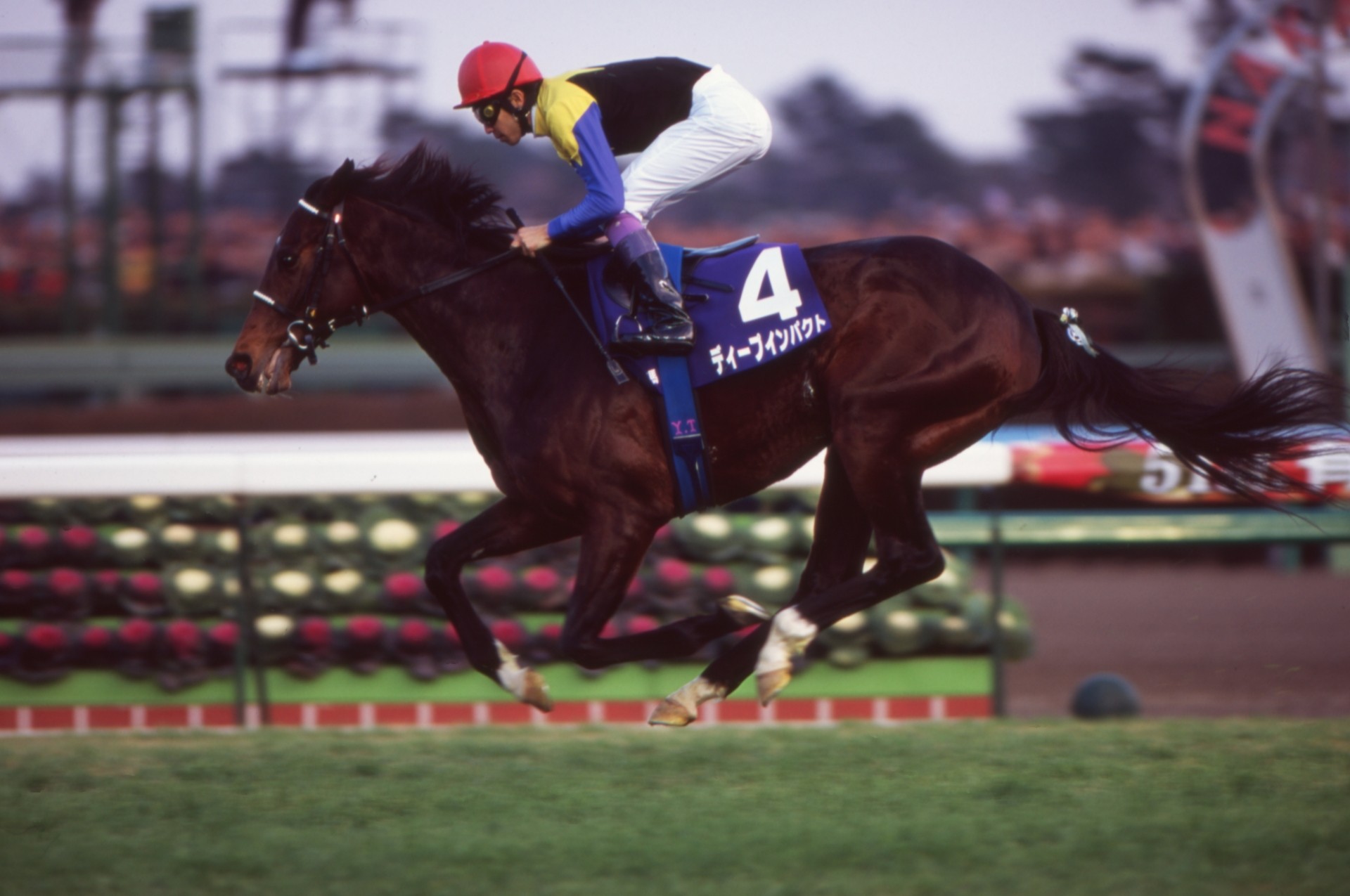 ［2006年有馬記念］