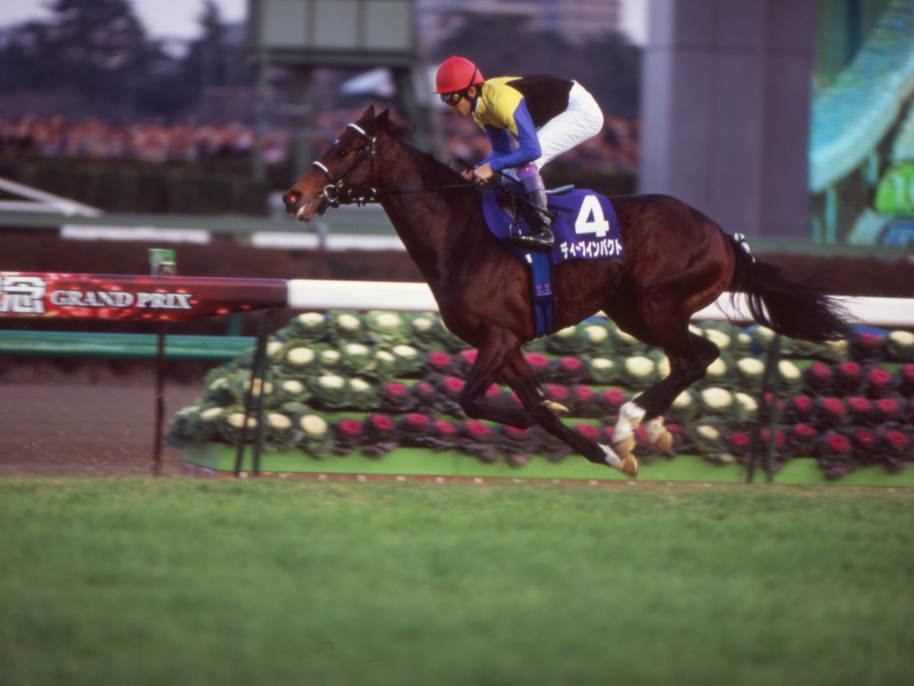 TAW GALLERY - 一般財団法人 TAW Thoroughbred Aftercare and Welfare