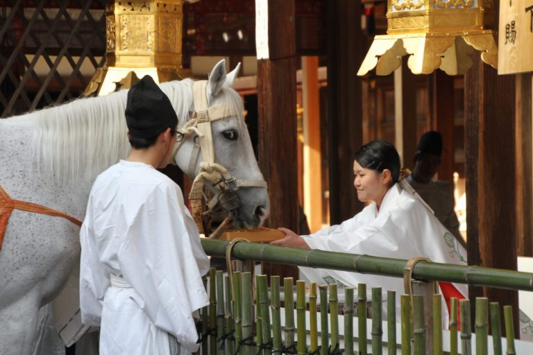 第２回 京都府京都市・上賀茂神社 白馬奏覧神事 その２