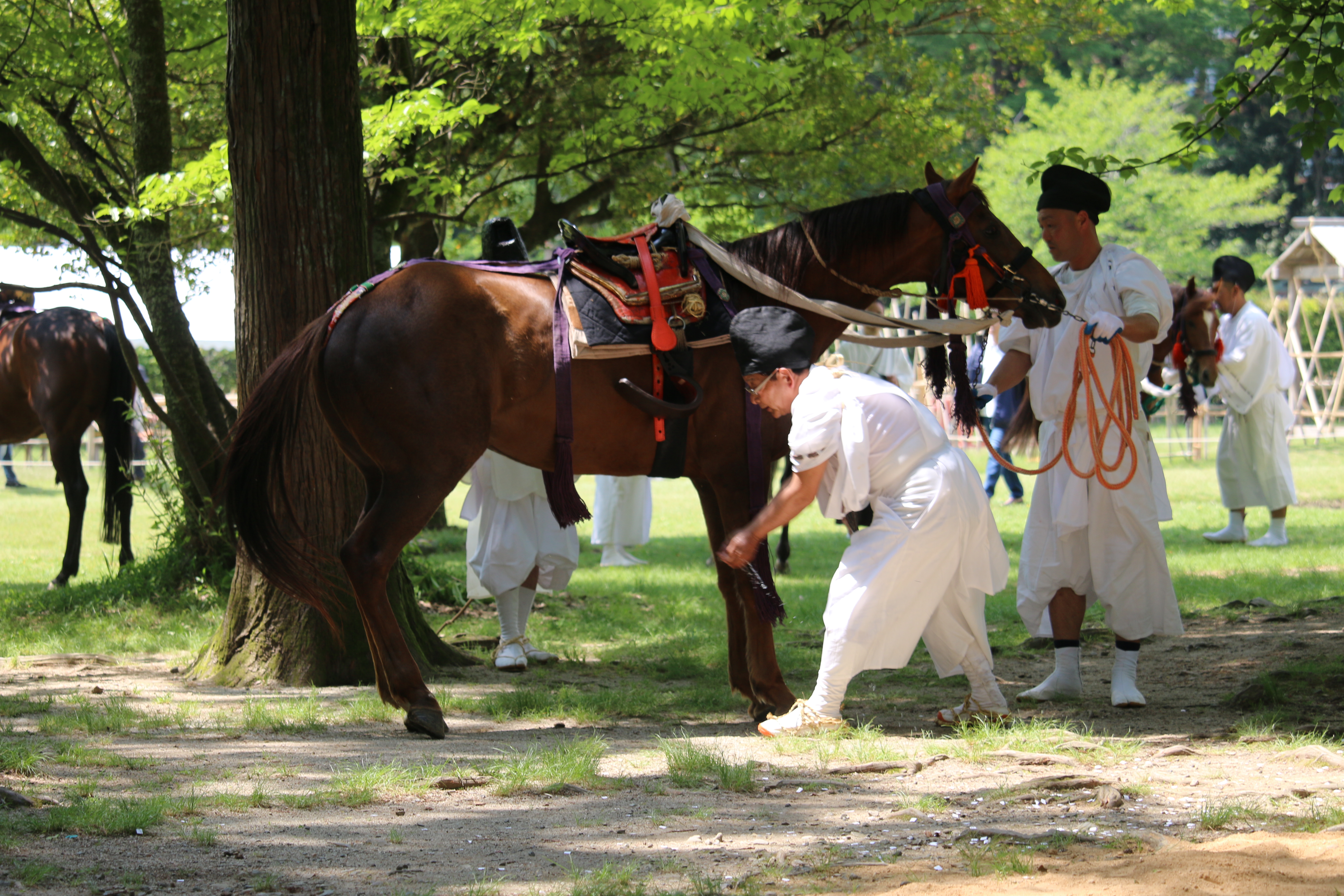 第３回 京都府京都市・上賀茂神社 賀茂競馬前編 その２