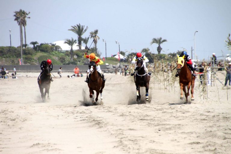 第１３回 静岡県牧之原市・さがらサンビーチ さがら草競馬大会 その１