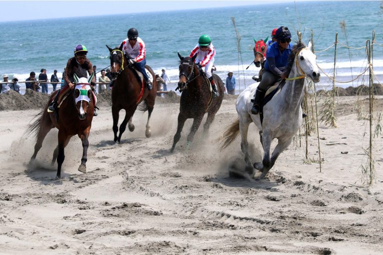 第１３回 静岡県牧之原市・さがらサンビーチ さがら草競馬大会 その２