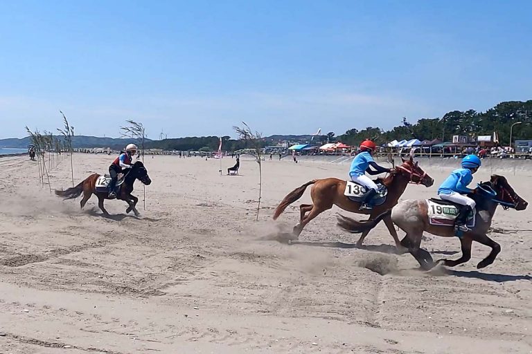 第１３回 静岡県牧之原市・さがらサンビーチ さがら草競馬大会 その３