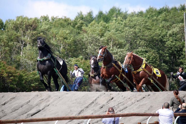 第１６回 北海道・別海町 馬事競技大会 その２