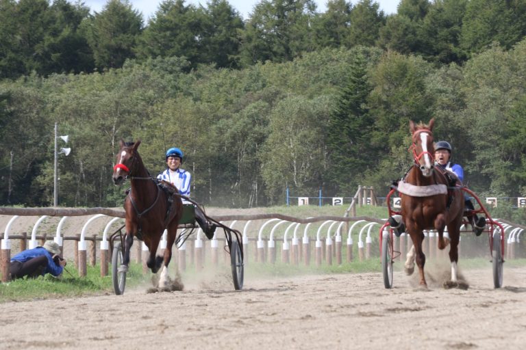 第１６回 北海道・別海町 馬事競技大会 その３